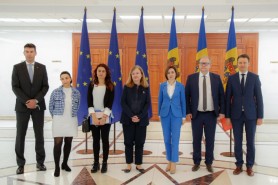 Maia Sandu s-a întâlnit cu un grup de parlamentari europeni. Subiectele abordate